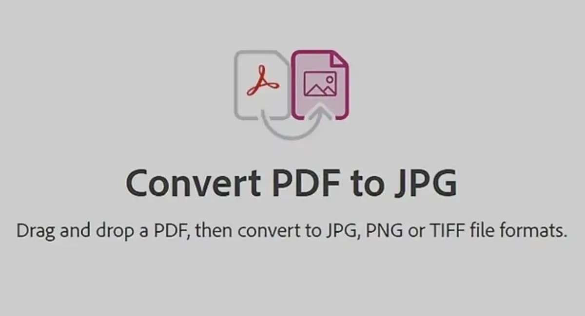 How to Convert PDF to Image (JPG/PNG)